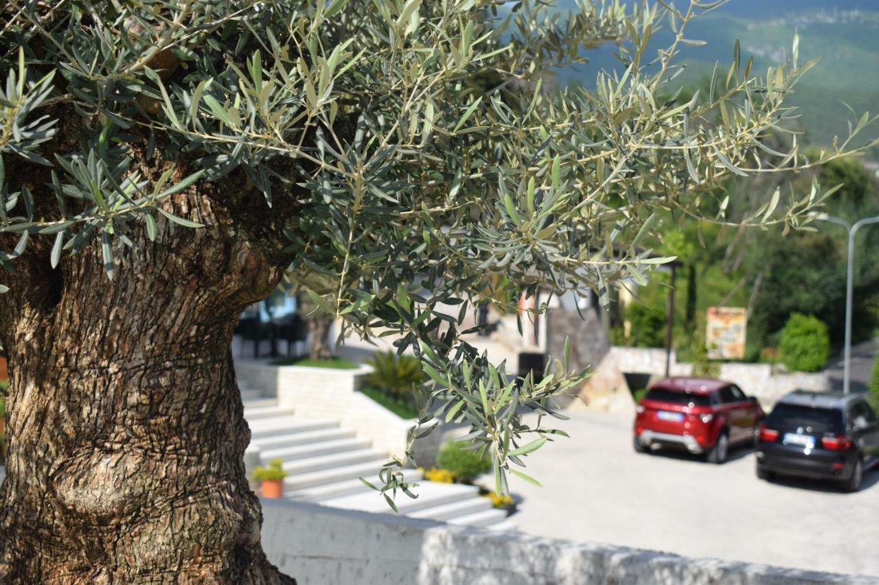 Chateau Linza Resort Тирана Экстерьер фото